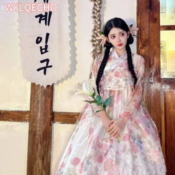 Novi korejski Yanji Hanbok korejski Princesa Polno Kostum Sodišče Obleko Fazi Plesna Predstava Kostumi za Ženske korejski Obleki