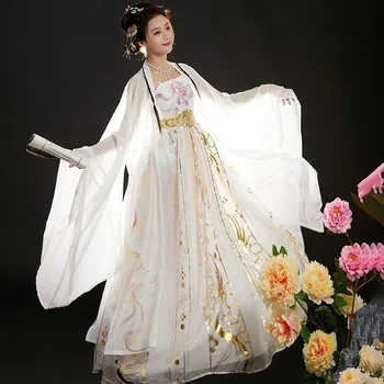 Tang Dinastije Bela Hanfu Ženska Izgubi-sleeved Majico, Vezenih Stari Kostum Dnevno Pravljice Elegantna Ženska Kitajske Obleke