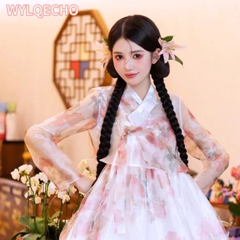 Novi korejski Yanji Hanbok korejski Princesa Polno Kostum Sodišče Obleko Fazi Plesna Predstava Kostumi za Ženske korejski Obleki 1