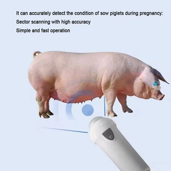 Prašiča, Ovce živine Brezžični Mehanske Veterinarski Ultrazvok Prenosni Skener Test Nosečnosti Ročni Ultrazvok Stroj 3